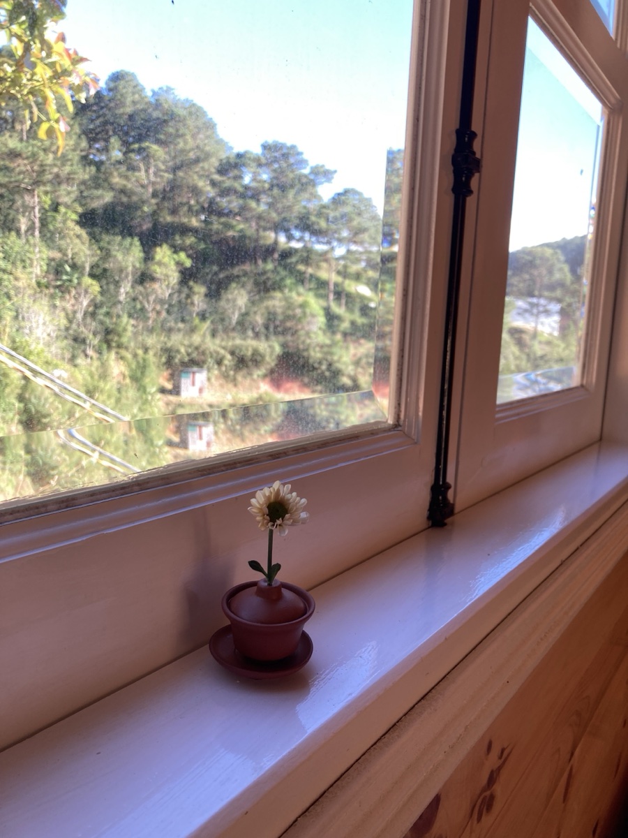 Cửa sổ gỗ view đồi thông từ phòng ngủ